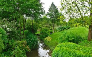 Jardin de Vallonchêne ruisseaux