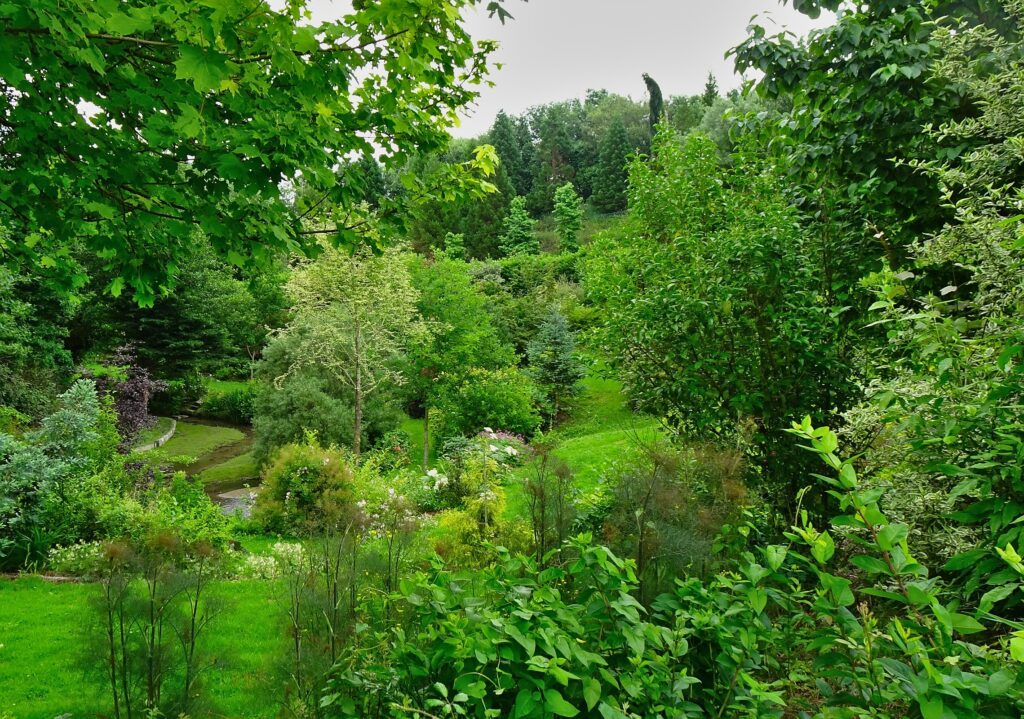 Le vallon du Jardin de Vallonchêne