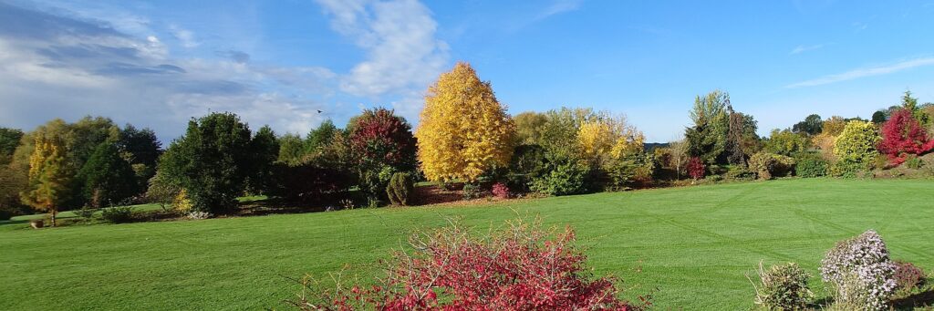 Couleurs d'automne sur le grand gazon